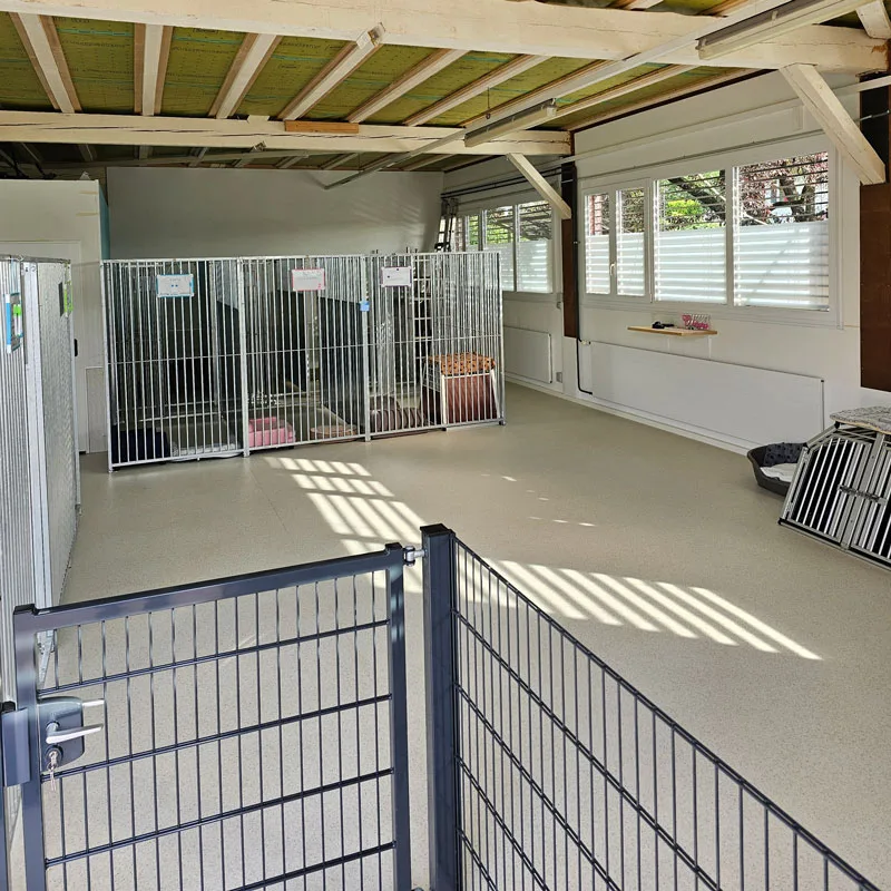 Tagesstätte Hundeliebe Monika Marti - Solothurn pet otel
