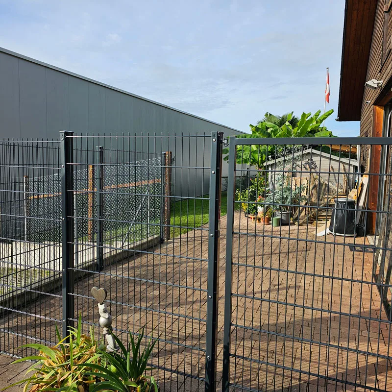 Tagesstätte Hundeliebe Monika Marti - Solothurn pet otel görseli 3