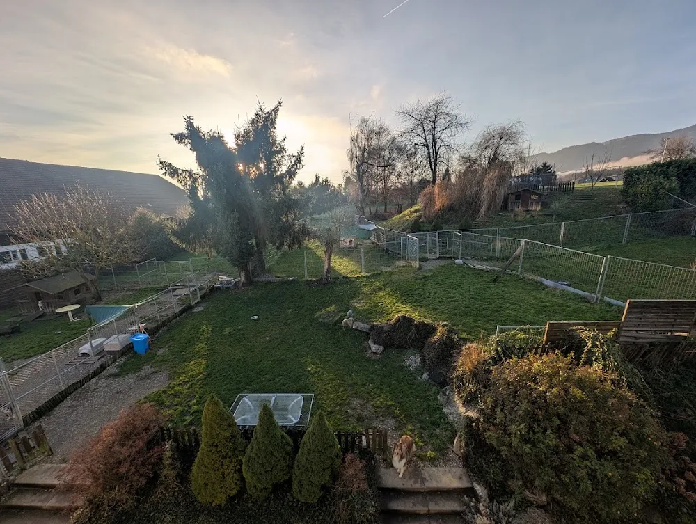 Tierzentrum Wengerhof - Solothurn pet otel