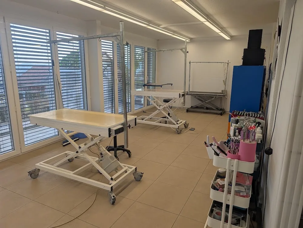 Tierzentrum Wengerhof - Solothurn pet otel görseli 4