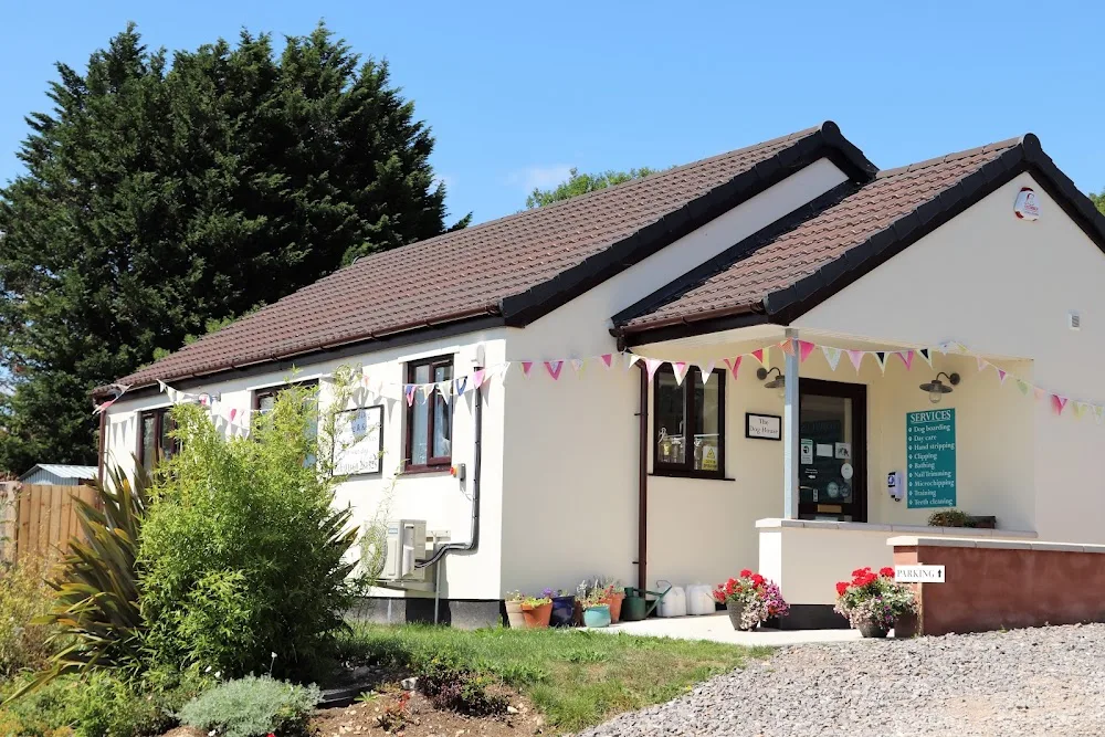 Ashgate (Dog/Cat Grooming & Boarding Kennels) - Somerset pet otel
