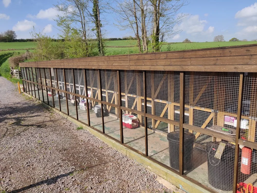 Buddle Oak Cattery - Somerset pet otel
