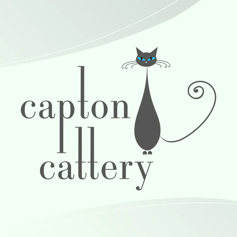Capton Cattery - Somerset pet otel görseli 3