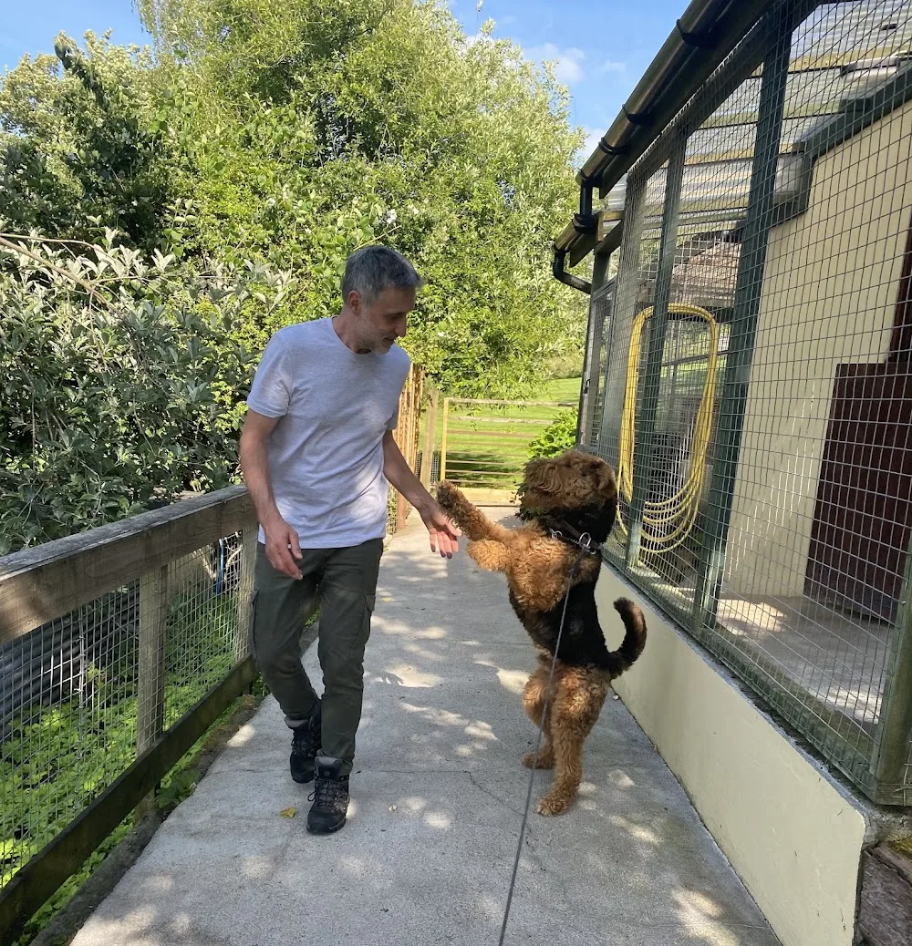 Farringford Boarding Kennels, Bruton - Somerset pet otel görseli 3