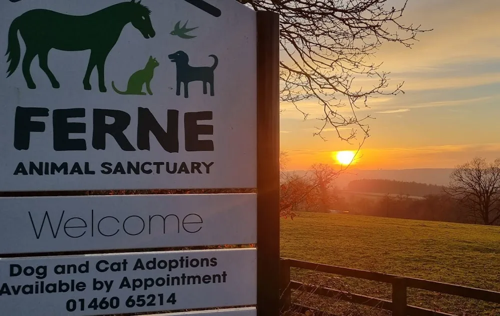 Ferne Animal Sanctuary Pet Boarding - Somerset pet otel