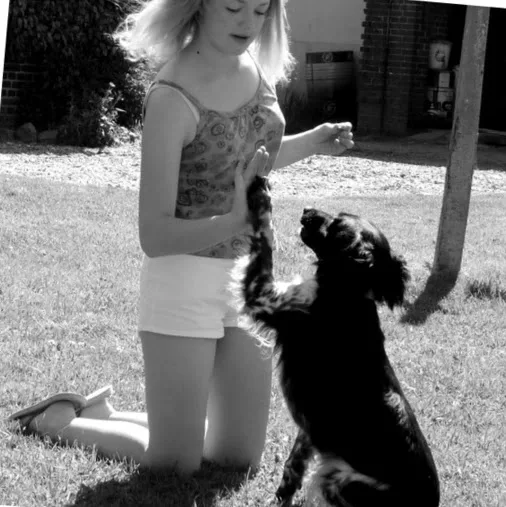 Bibouille And Co - Pension Canine - Somme pet otel görseli 4