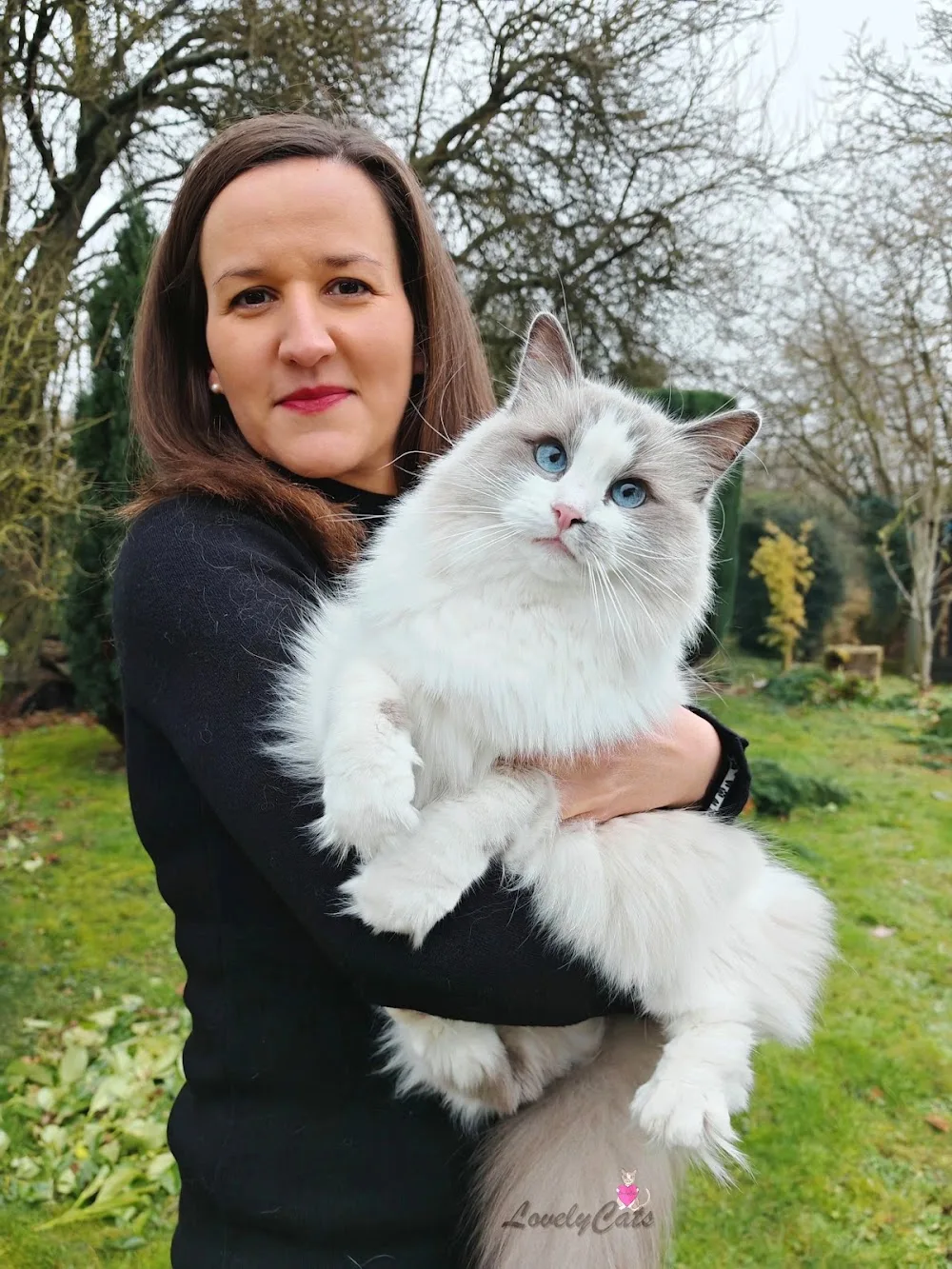 LovelyCats - Professionnelle de la garde de chats - Depuis 2019 à Amiens - Somme pet otel