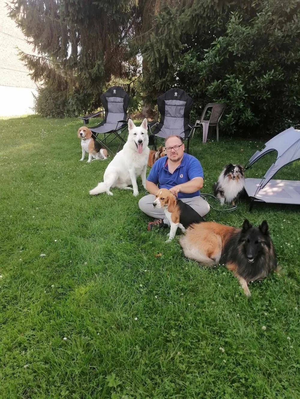 Pension canine "FAMILY DOGS comme à la maison" - Somme pet otel