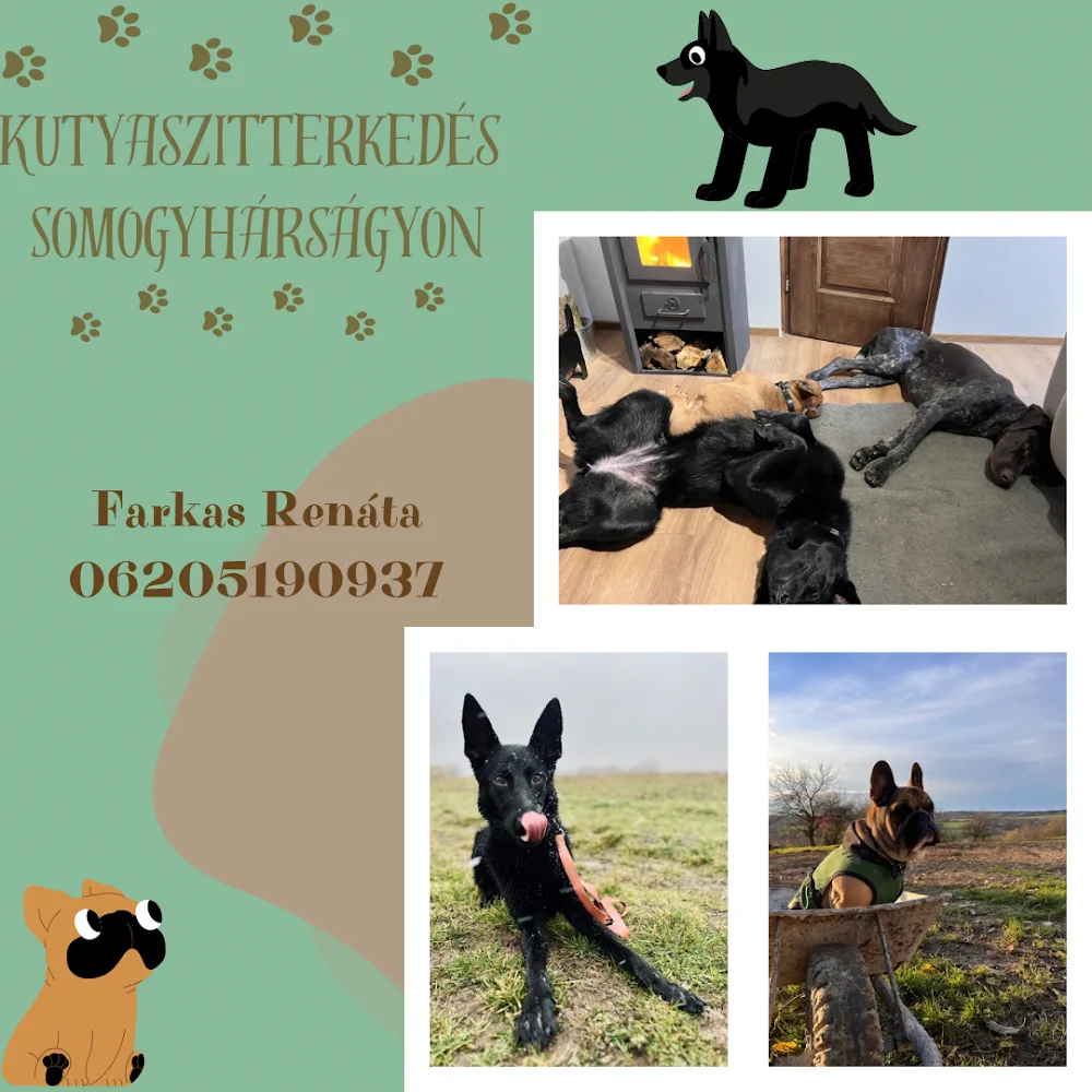 Red Deer Dog Daycare - Somogy County pet otel