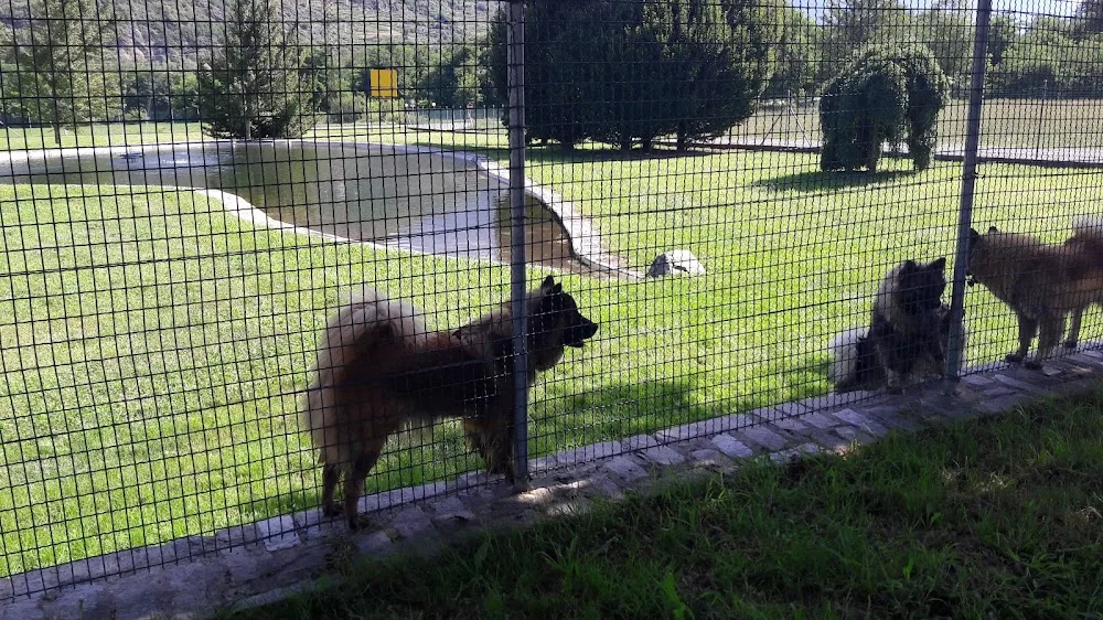 Cà Comarina - CENTRO CINOFILO, CLINICA VETERINARIA E PENSIONE - Sondrio pet otel görseli 3