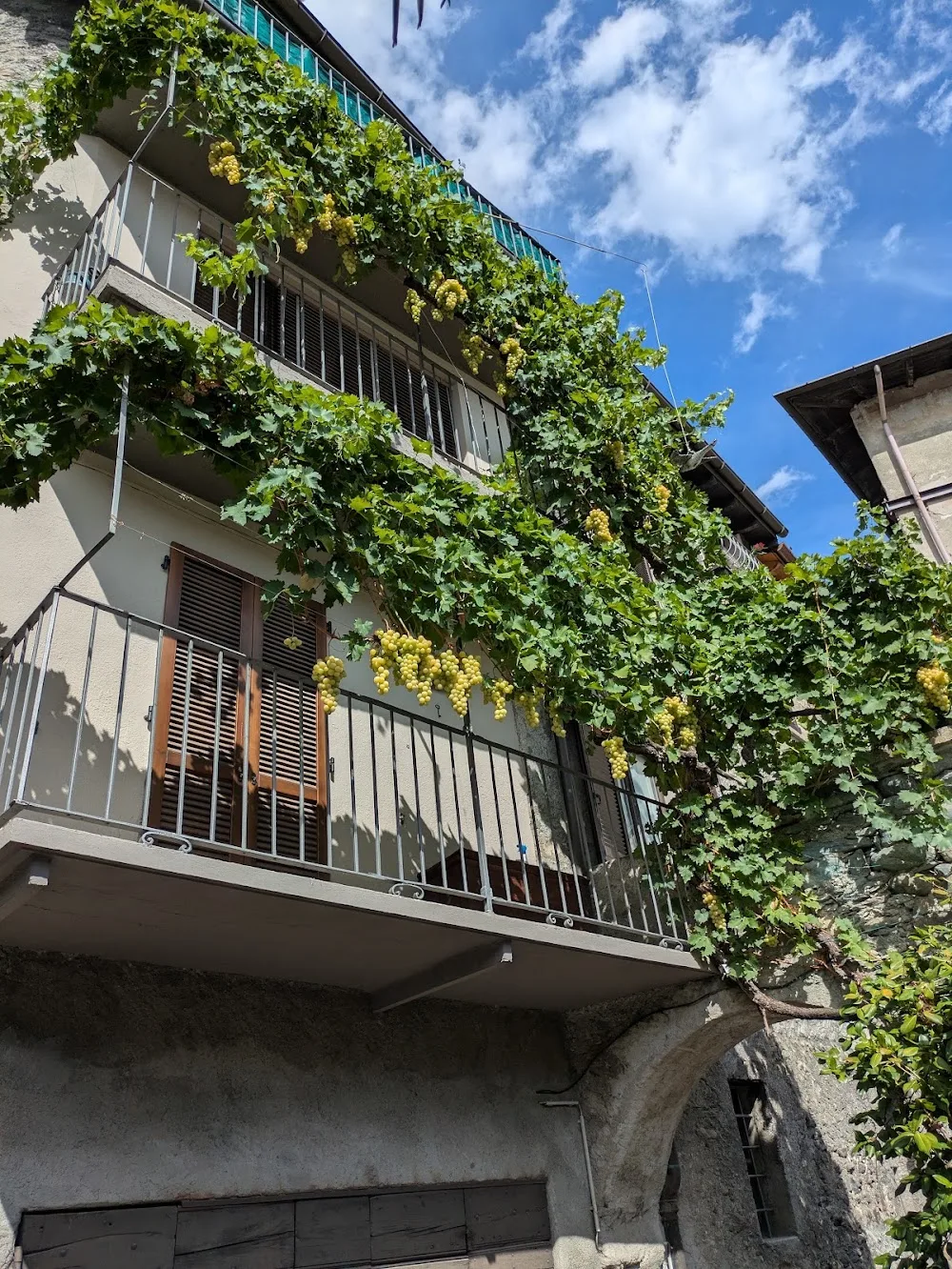 Canile Consortile di Sondrio - - Sondrio pet otel görseli 3