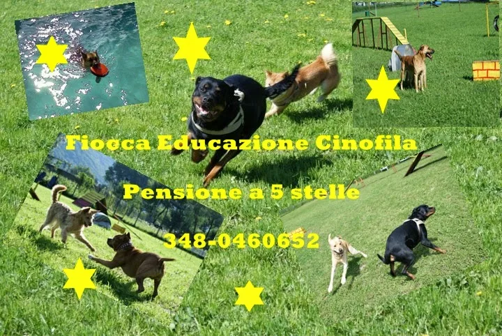 Centro Cinofilo e Pensione Fiocca - Sondrio pet otel