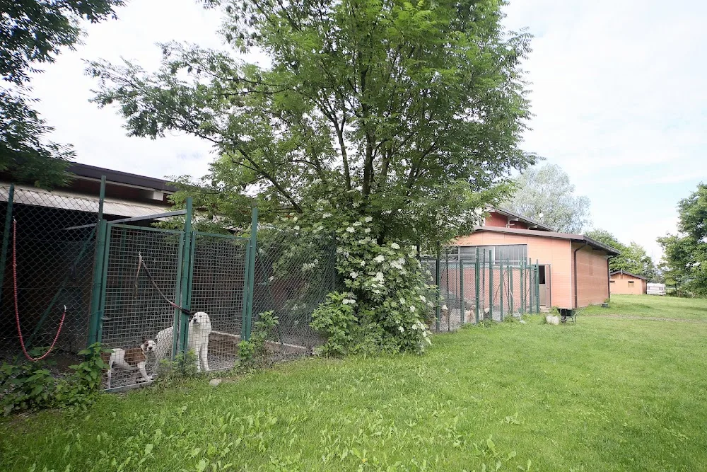 DOG HELP Centro cinofilo - Sondrio pet otel görseli 4