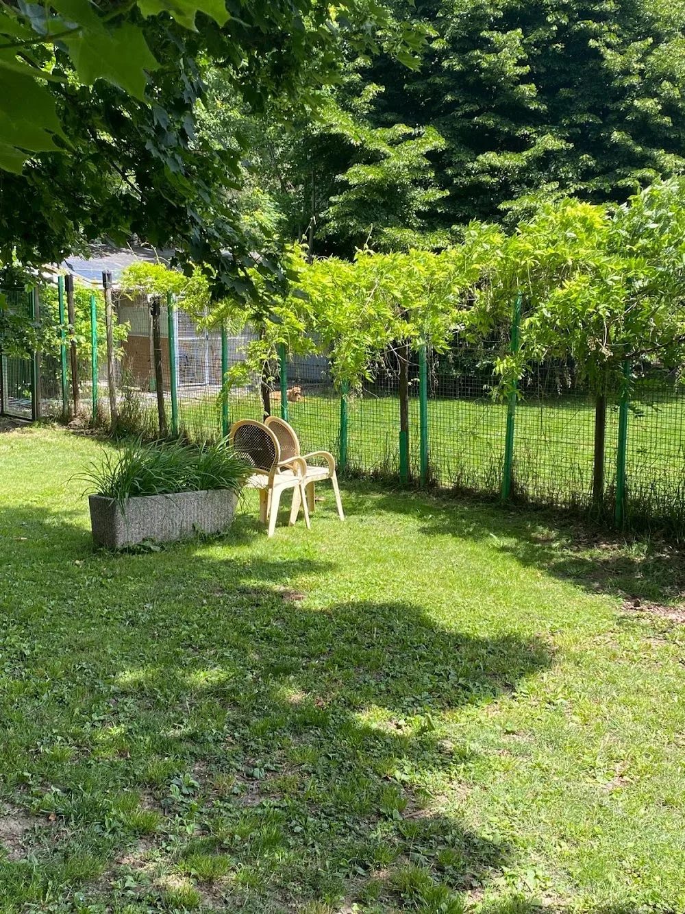 Dog house - Sondrio pet otel