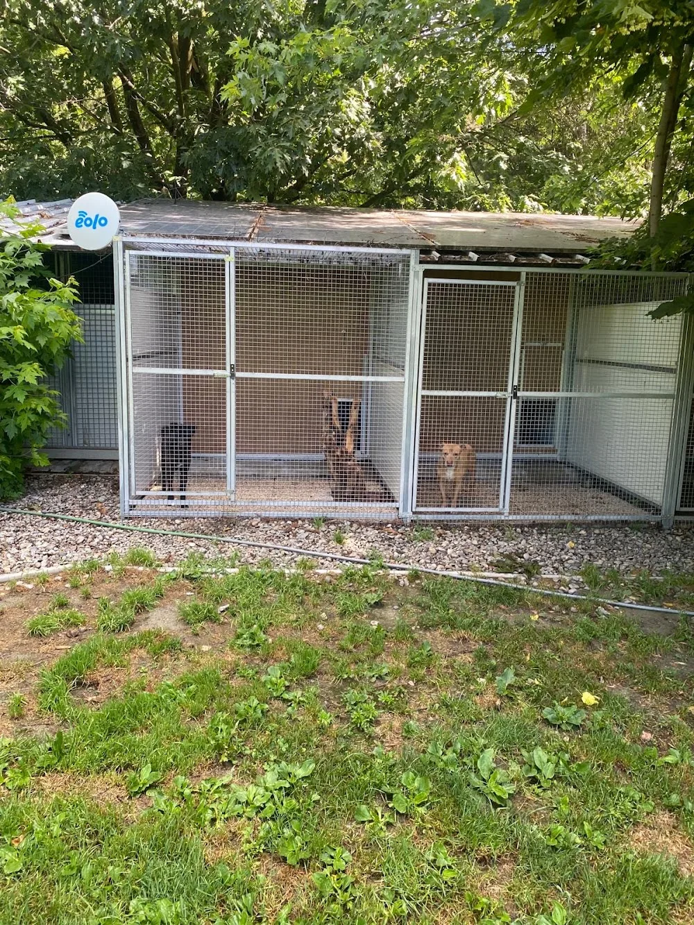 DOGHOUSE - Sondrio pet otel