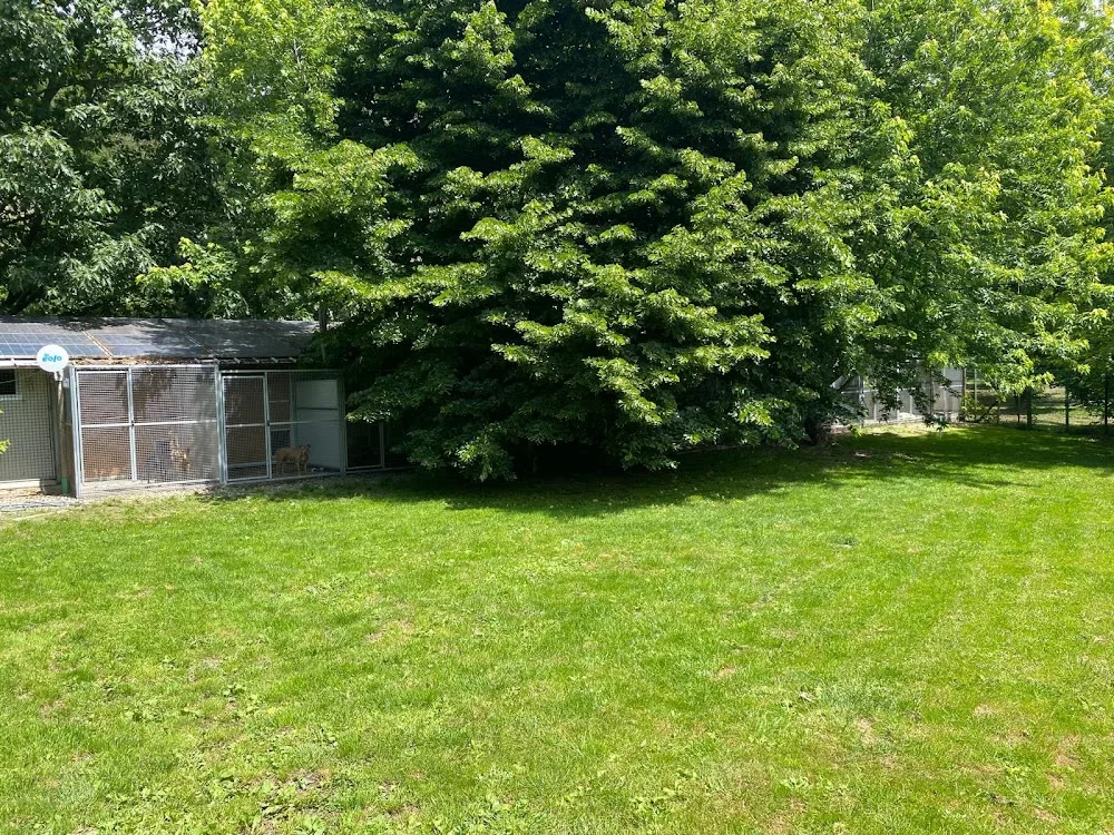 DOGHOUSE - Sondrio pet otel görseli 3