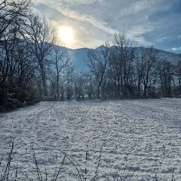Kennel Ricasso' - Sondrio pet otel görseli 5