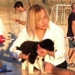 Travel Dog di Chiara Notaristefano - Sondrio pet otel