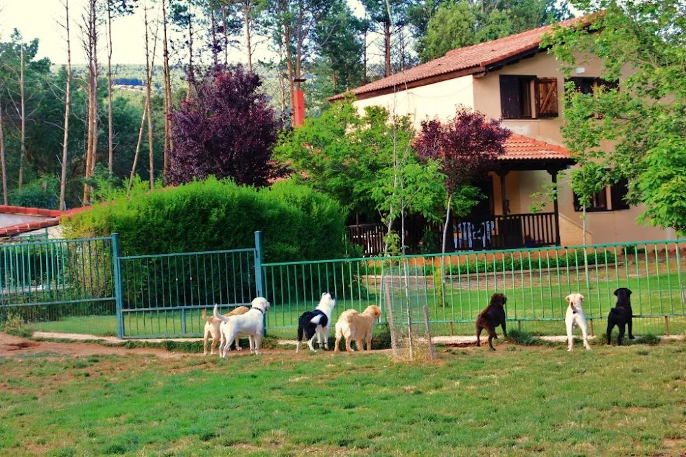 Residencia Canina familiar en Soria "Paraje el Salvador" - Soria pet otel