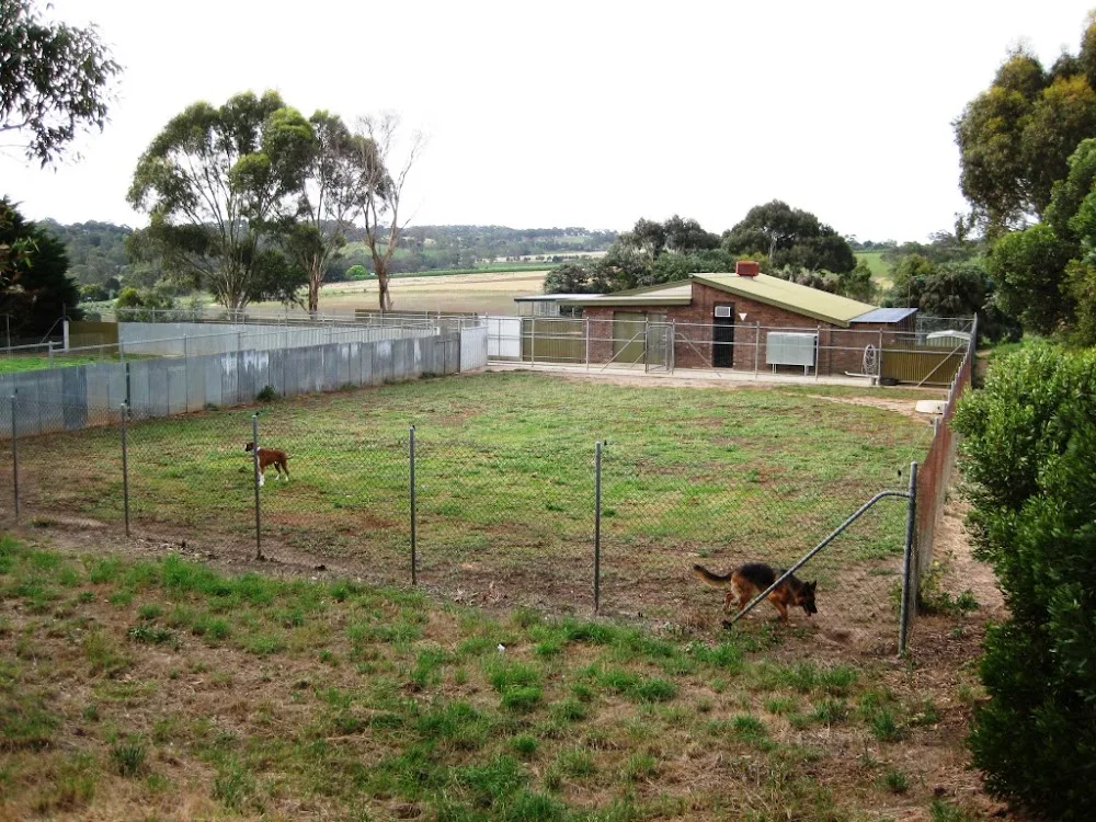 Advanced Boarding Kennels And Training School - South Australia pet otel görseli 2