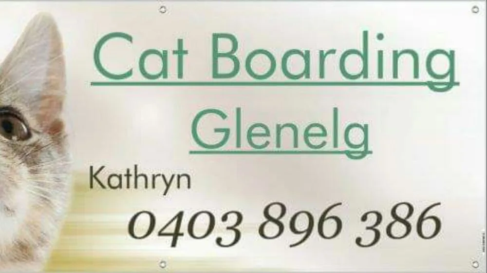 Cat Boarding Glenelg - South Australia pet otel