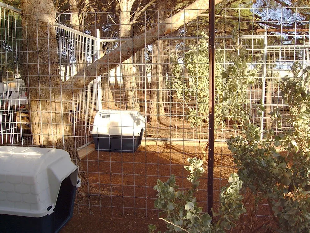 Helendale Boarding Kennels - South Australia pet otel görseli 3