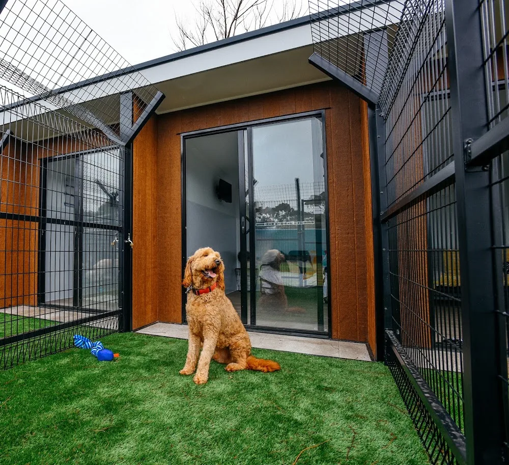 Kip Adelaide North Cat & Dog Boarding - South Australia pet otel görseli 2