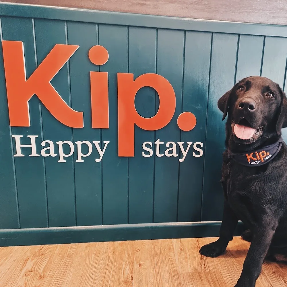 Kip Broadview Dog Daycare - South Australia pet otel görseli 2