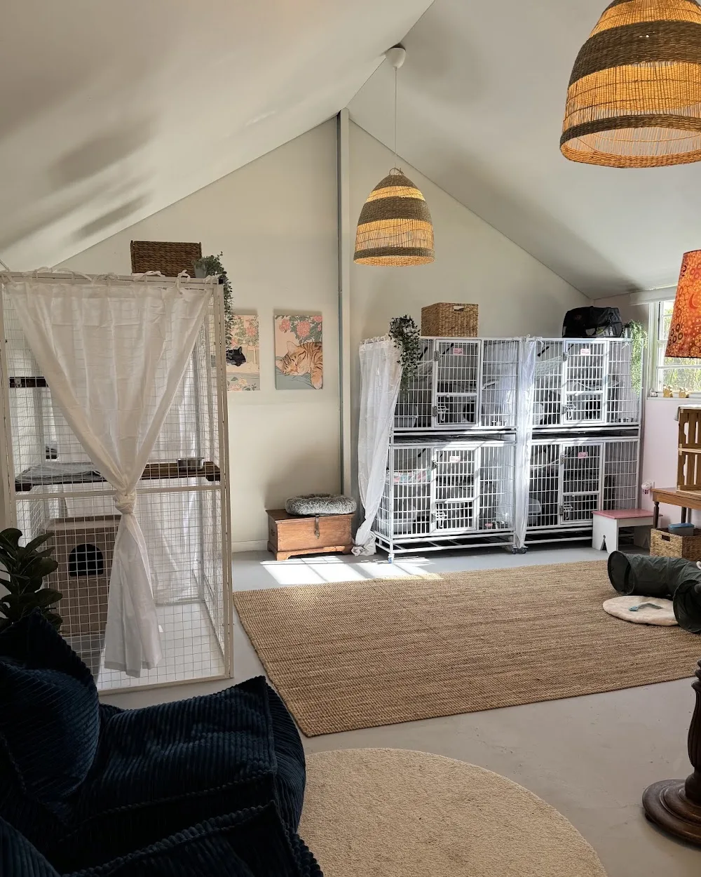 Kitty Cat Hotel - South Australia pet otel görseli 2