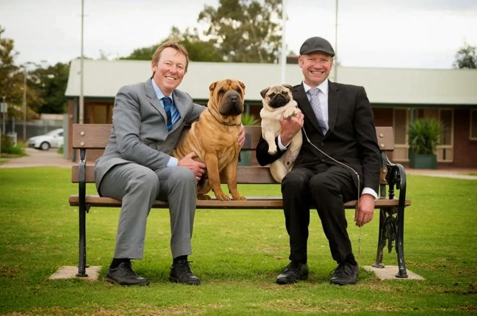 Petherton Park Kennels - South Australia pet otel görseli 2