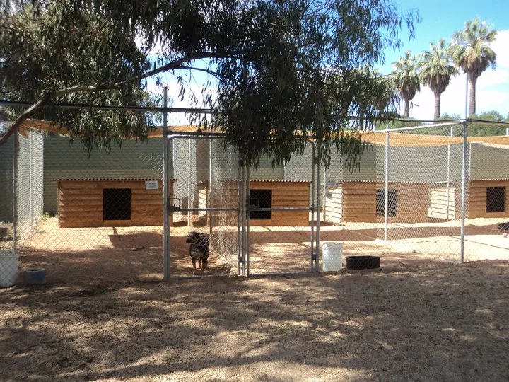 Riverland Boarding Kennels - South Australia pet otel görseli 3
