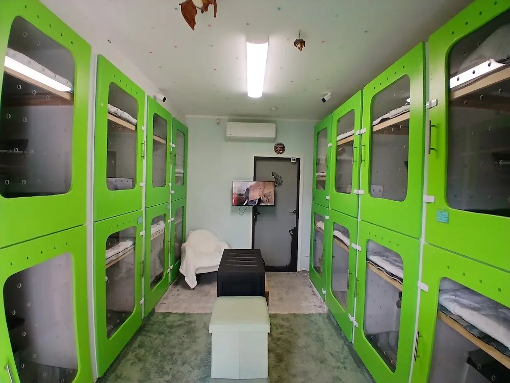 Stella Cat Hotel - South Australia pet otel