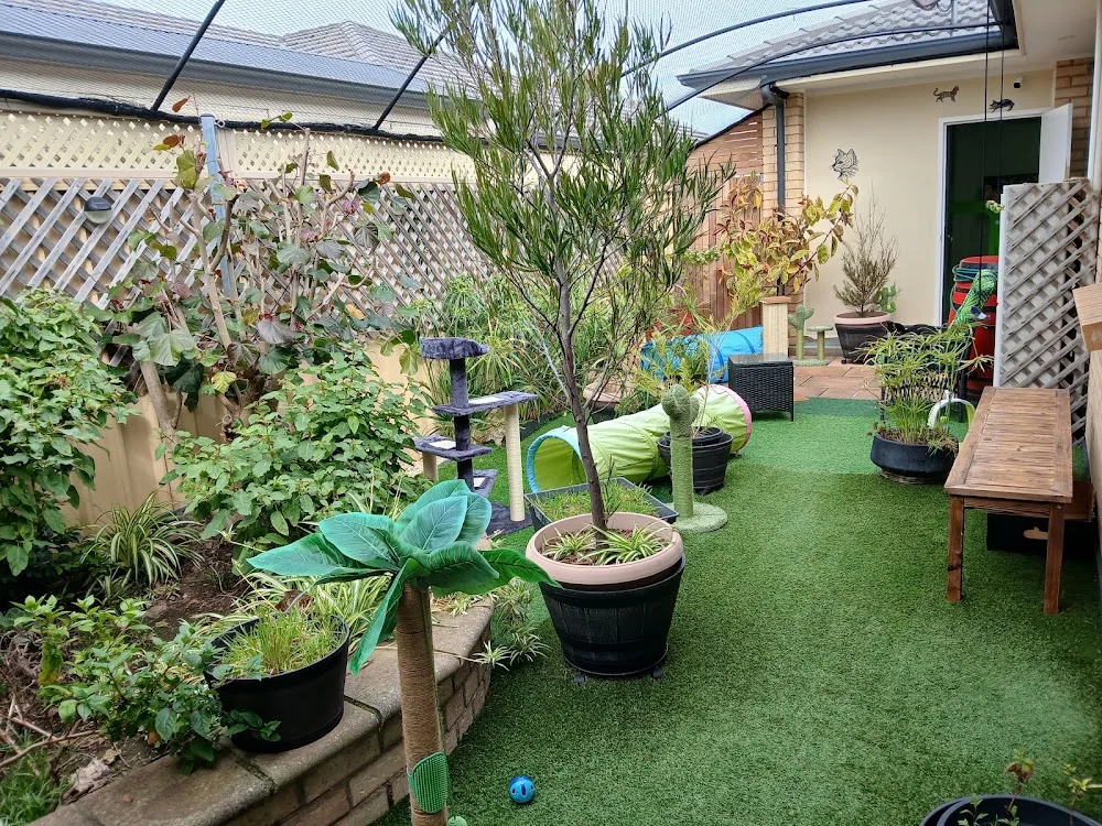 Stella Cat Hotel - South Australia pet otel görseli 3