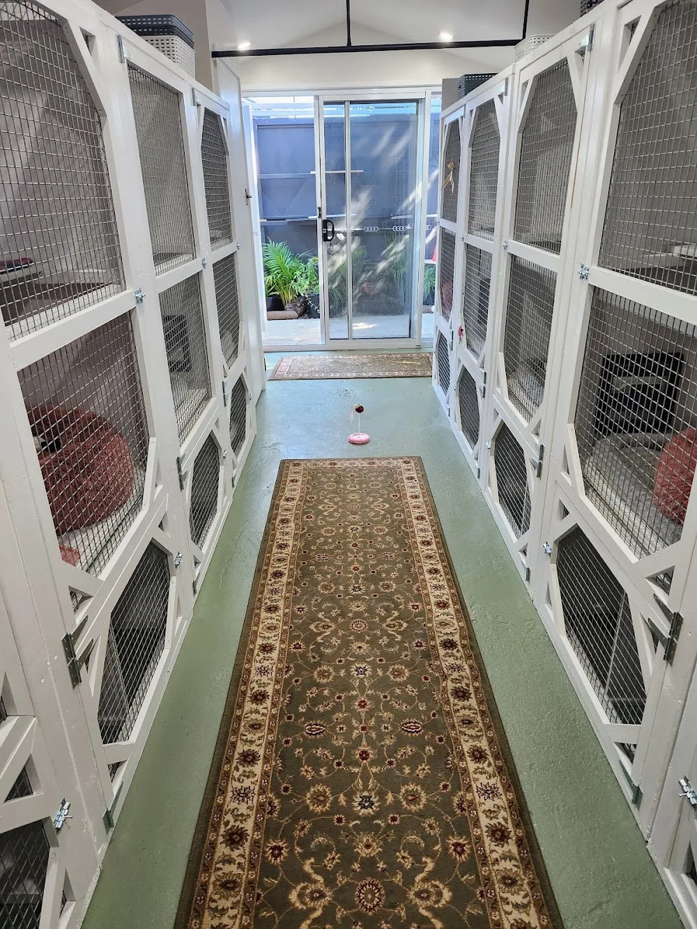 Taj Meow Cattery - Normanville - South Australia pet otel görseli 2