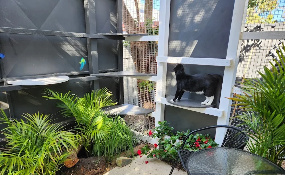 Taj Meow Cattery - Normanville - South Australia pet otel görseli 3