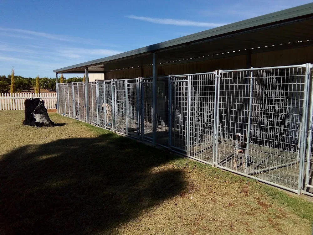 The Vines Pet Boarding Facility - South Australia pet otel görseli 2