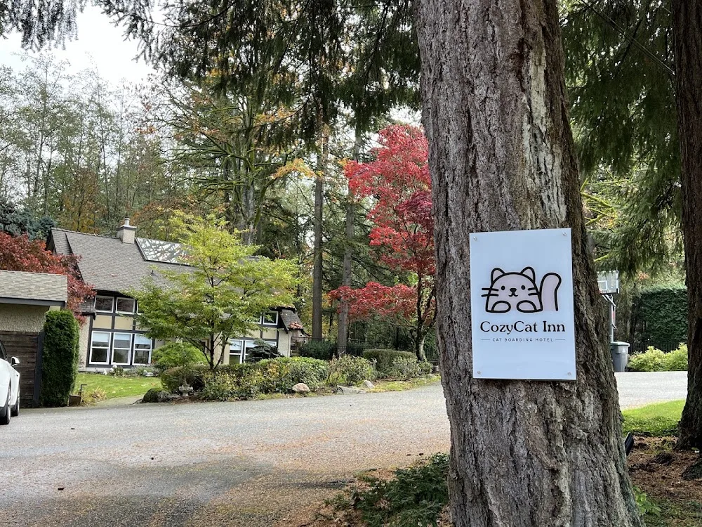 CozyCat Inn - South Greenwood pet otel