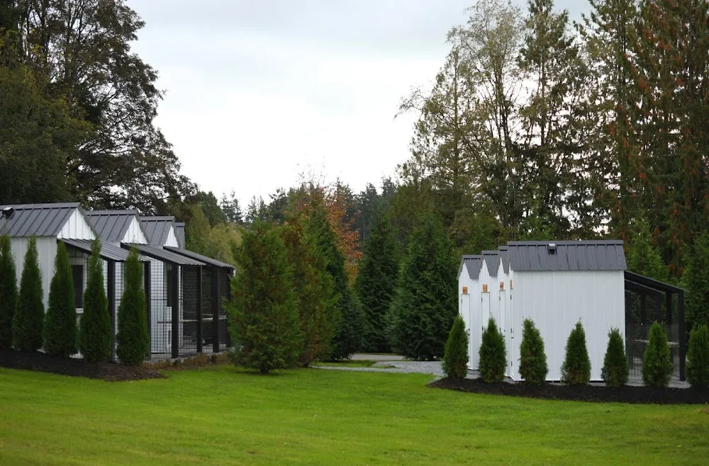 Purrfect Cabins - South Greenwood pet otel