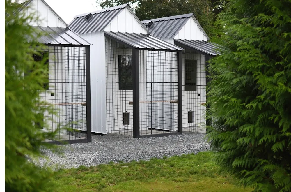 Purrfect Cabins - South Greenwood pet otel görseli 3