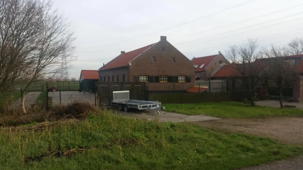 Boas Dierenpension - South Holland pet otel görseli 3
