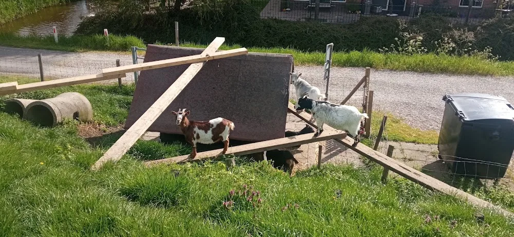 Dierenpension en Opvangcentrum De Lindt - South Holland pet otel görseli 3