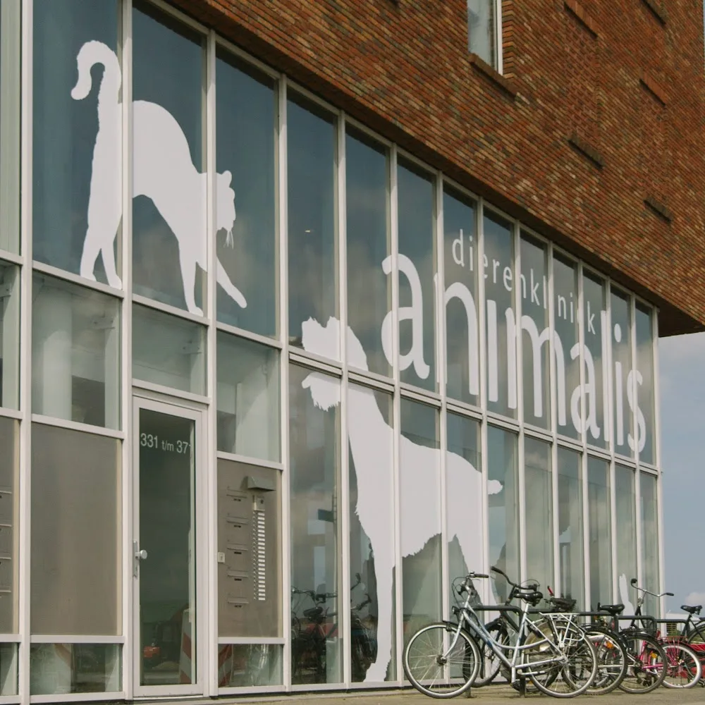 Dierenpensions van Dierenbescherming Rijnmond - South Holland pet otel görseli 5
