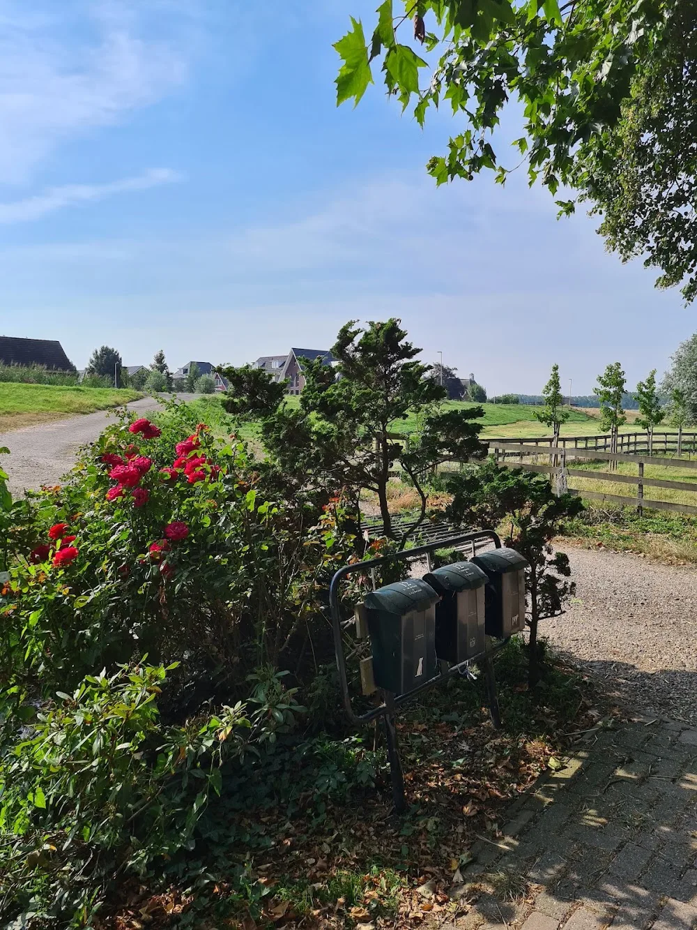 Hondenpension Rundervreugd - South Holland pet otel görseli 4