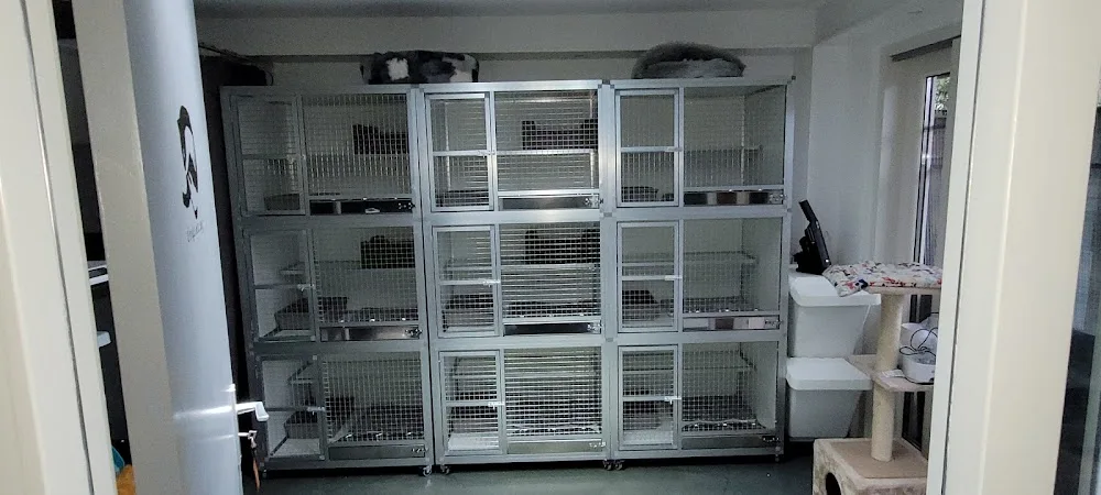 Kattenpension Wijk 11 Heenvliet - South Holland pet otel