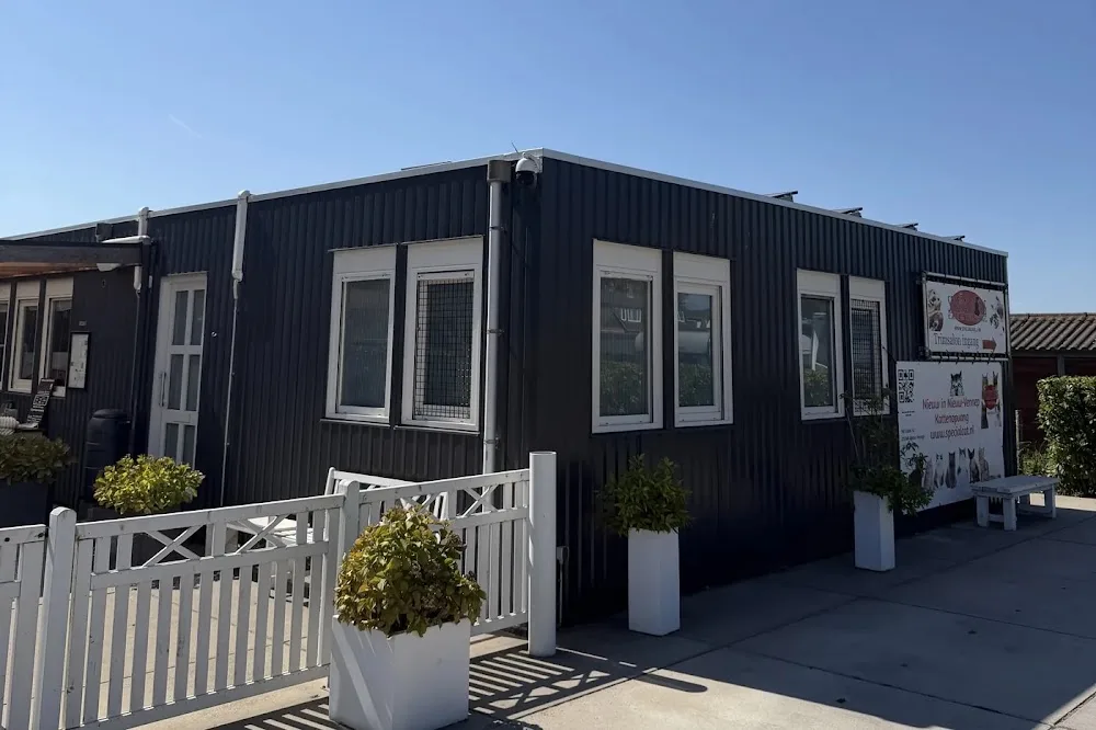 Special Cat Care & Hotel - South Holland pet otel görseli 3