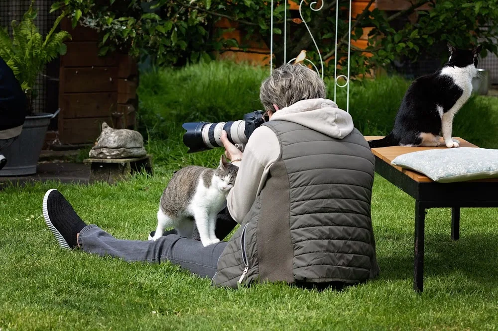 Stichting Wetland-Cats Kattenopvang - South Holland pet otel