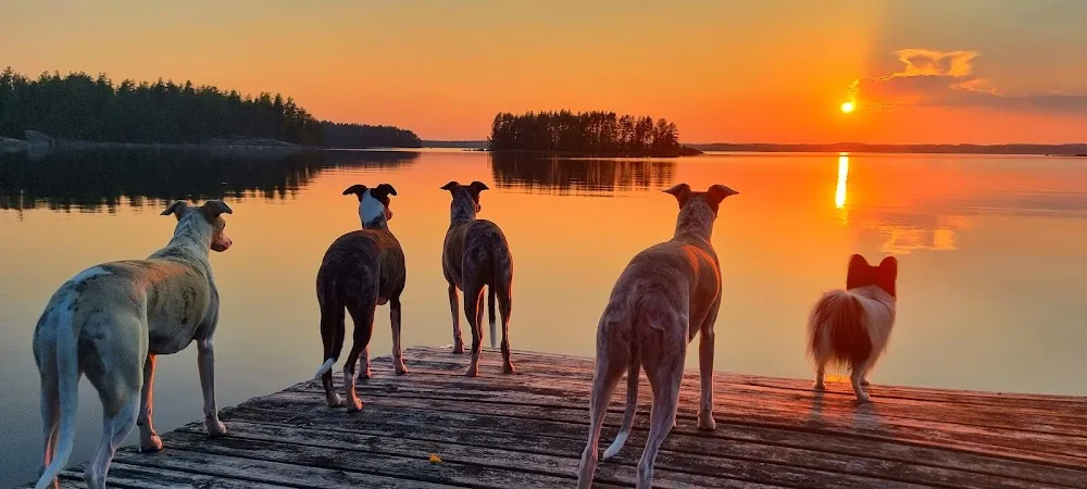 Mimi Chill's - South Karelia pet otel