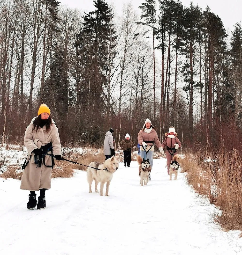 Pitomnik Khaski V Karelii, Belaya Runa. - South Karelia pet otel görseli 3