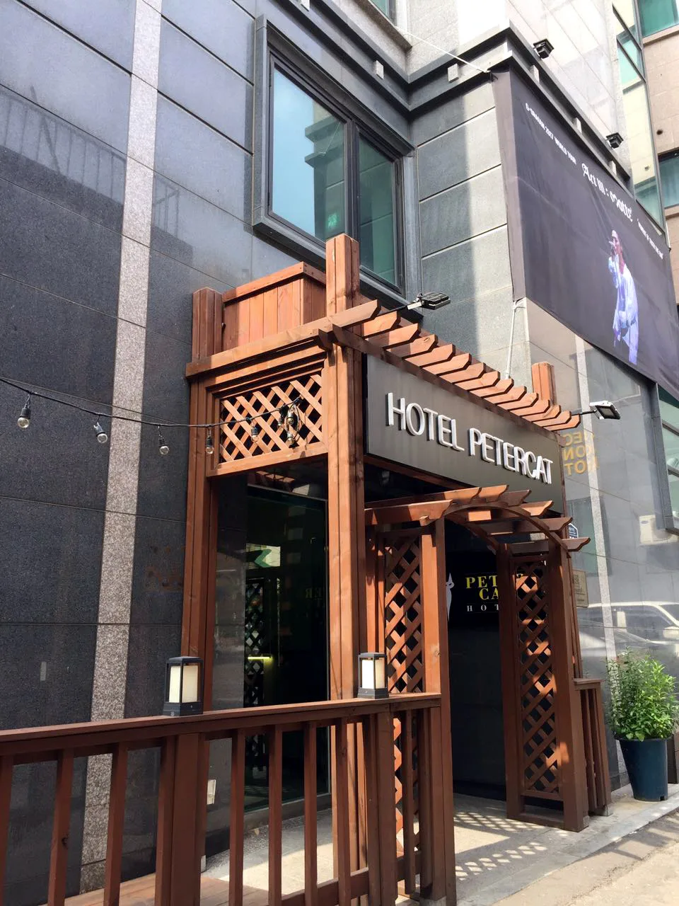 Petercat Hotel Insadong - South Korea pet otel görseli 2