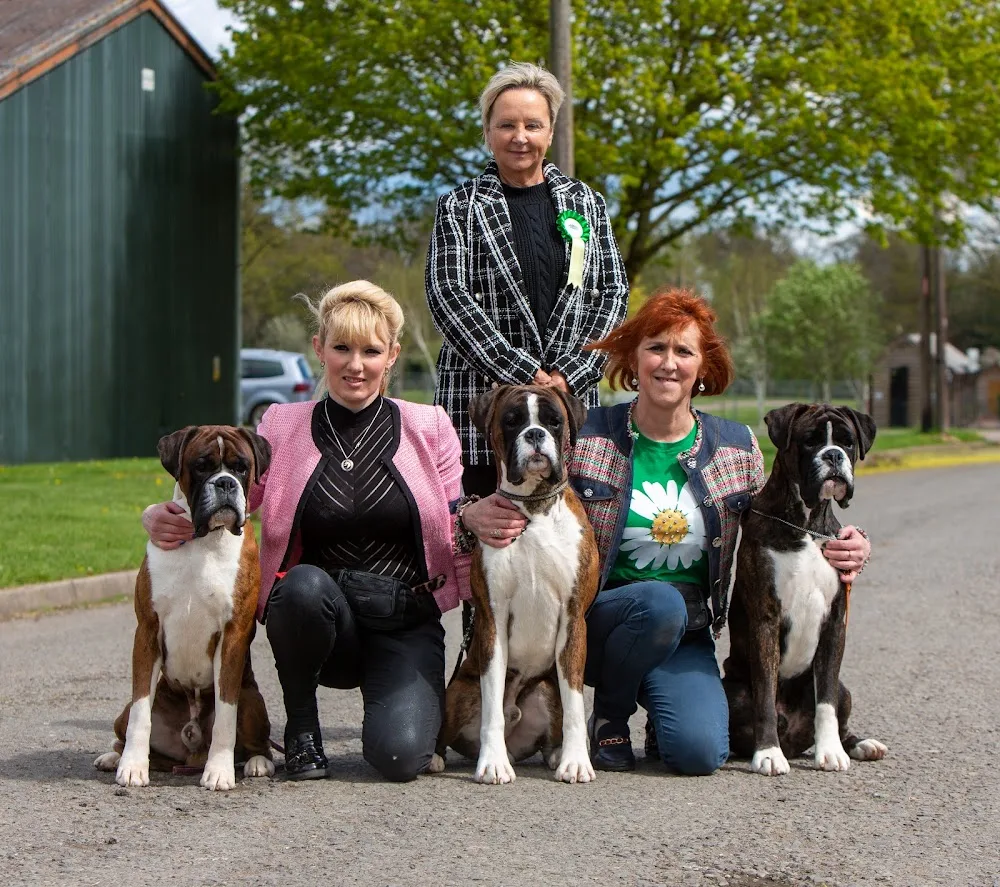 Glenauld Kennels & Cattery - South Lanarkshire pet otel
